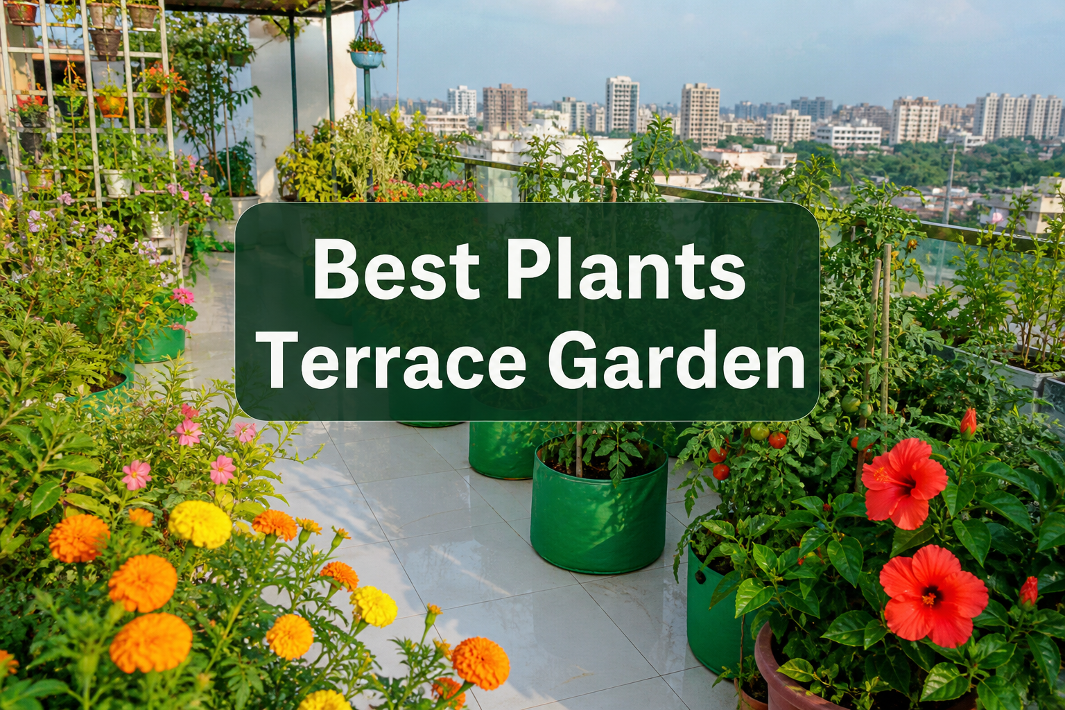 Indian terrace garden with potted flowers, herbs, and vegetables under full sunlight